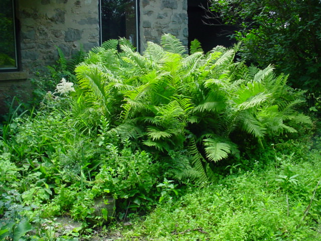 DSC00978.JPG