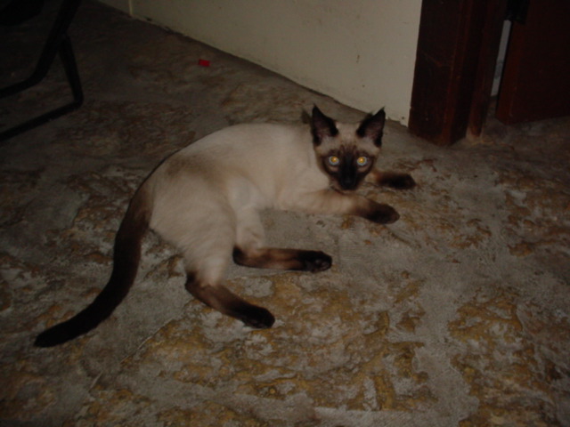 DSC01017.JPG