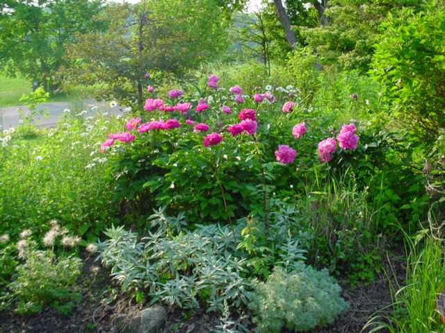 DSC00929.JPG