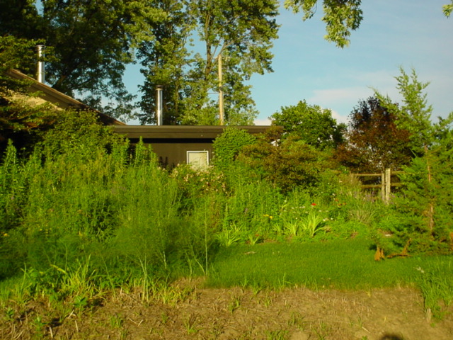 DSC00964.JPG