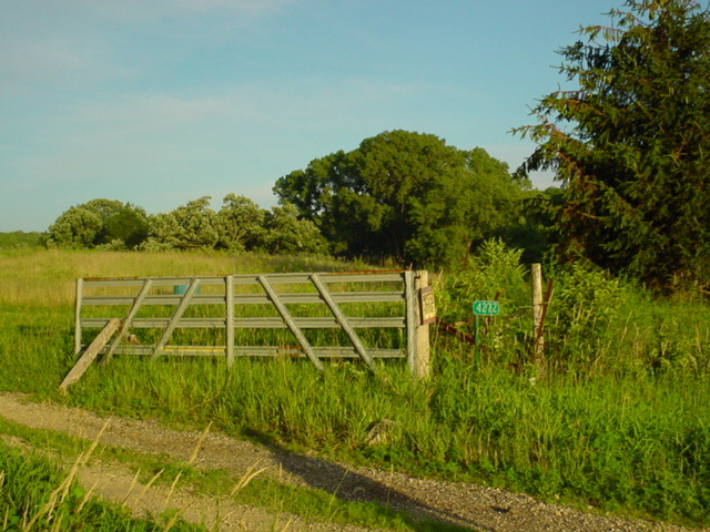 DSC00965.JPG