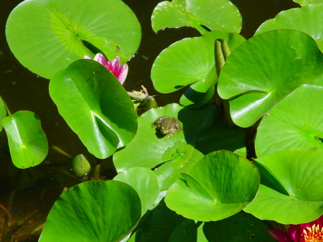 DSC00971.JPG