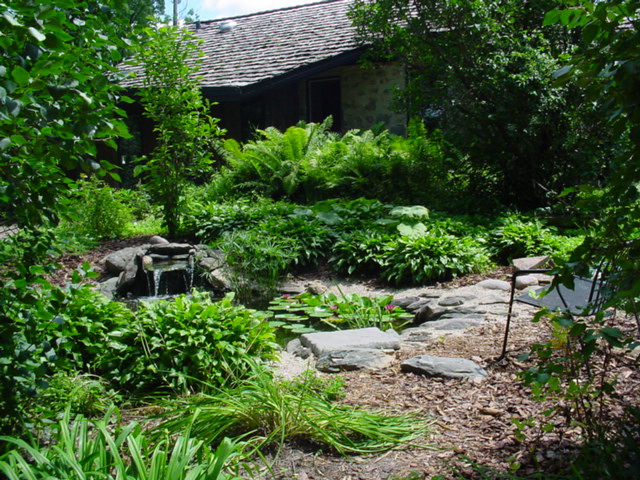 DSC00974.JPG