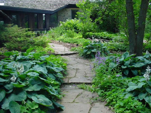 DSC00977.JPG