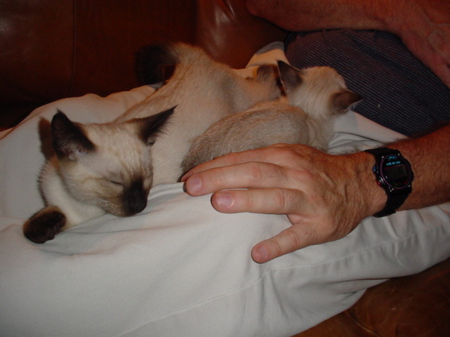 DSC00913.JPG