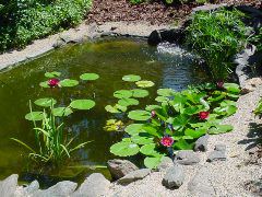 DSC00973.JPG