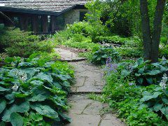 DSC00977.JPG