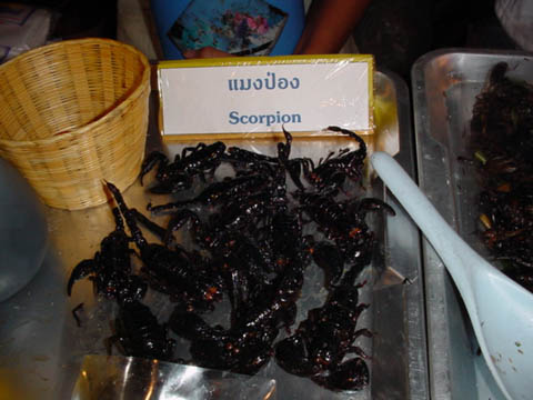 20_Fried_Scorpion