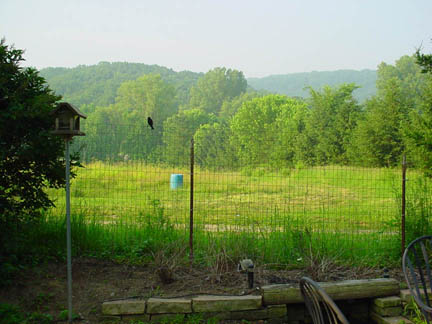 DSC00534
